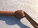 Classic American Bullwhip Knot A